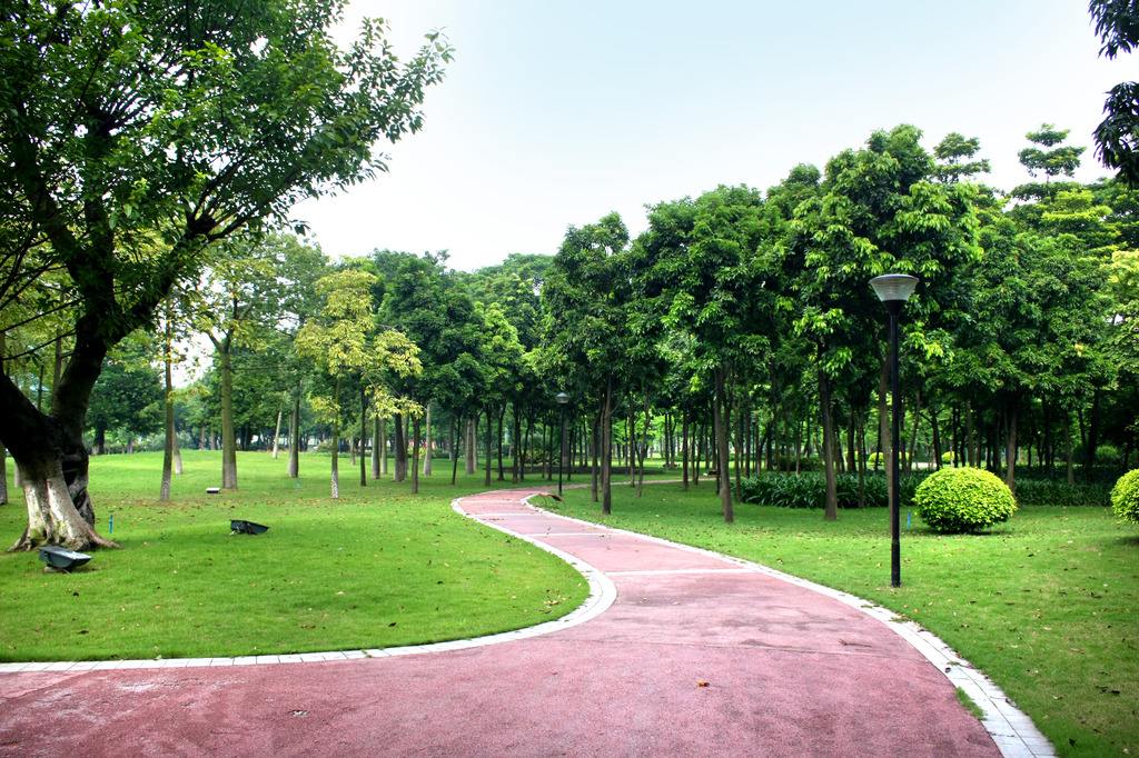 城市廣場綠化工程