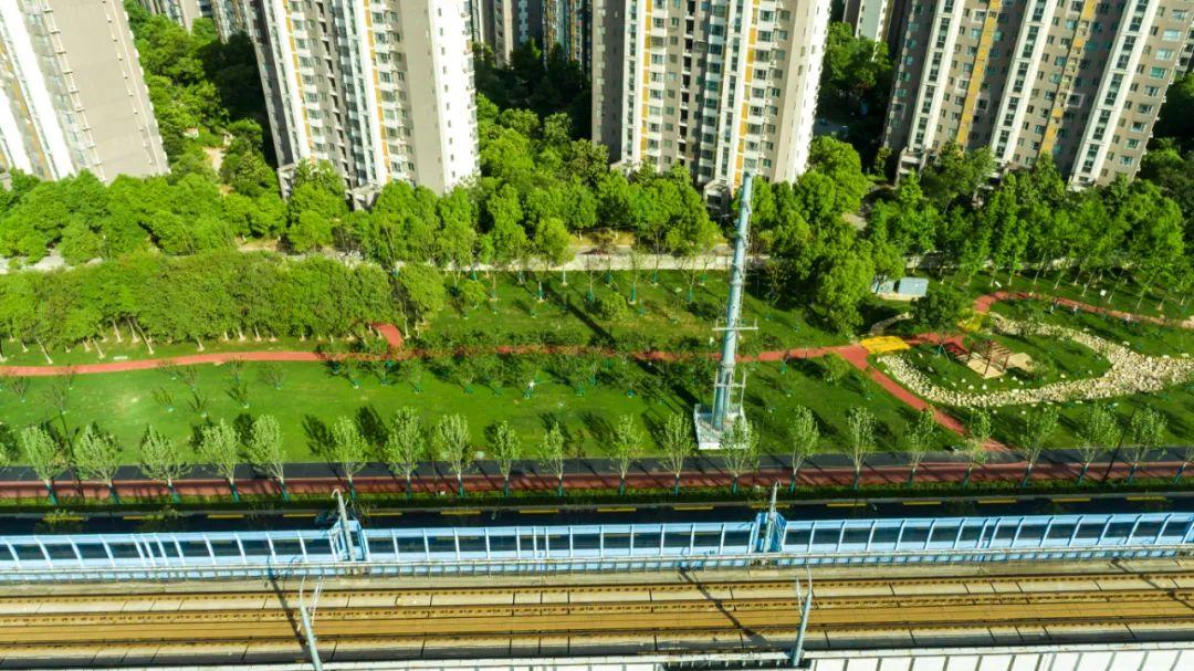 鹽山縣鳳池環島、鳳凰路、平安大街綠化